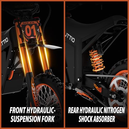 Electric Dirt Bike 48V 21AH Removable Battery Hydraulic Brakes R6234
