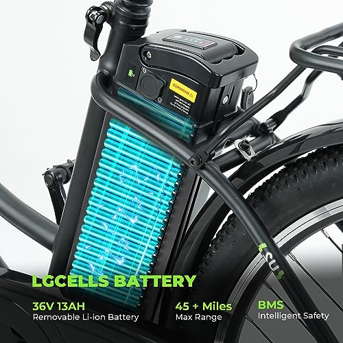 Electric Bike for Adults 750W 28mph with Removable Battery and Fat Tire N46855