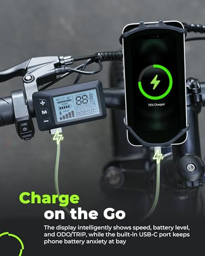 Electric Bike for Adults 750W 28mph with Removable Battery and Fat Tire N46855