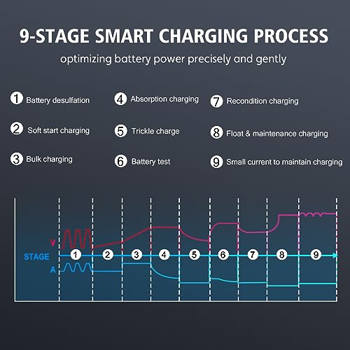 20 Amp Lithium Battery Charger, 12V and 24V Lifepo4, Lead-Acid Portable Car Battery Charger R763