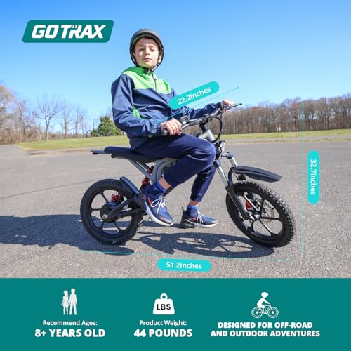 Electric Dirt Bike, 16" Pneumatic Tires, 15.5 Mph, 300W Brushless Motor M810
