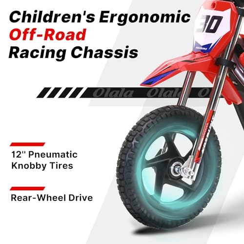 Electric Dirt Bike for Kids Aged 4-8, 350W Brushless Motor, 14'' Off-Road Tires, Blue J66927