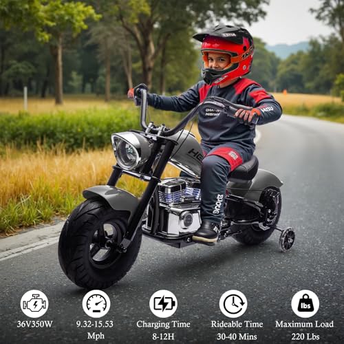 Electric Dirt Bike for Kids 14+, 360W Motor, 15.5 MPH, Gray D8115