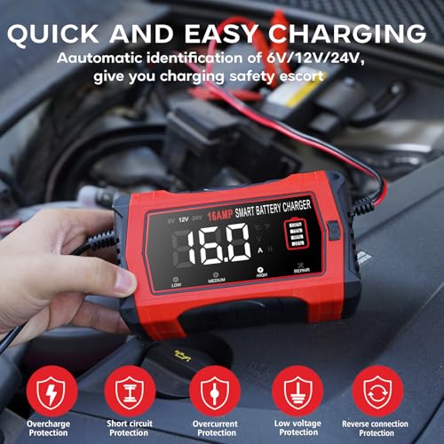 12V 24V 10-Stage Smart Battery Charger and Maintainer B154