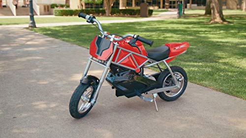 Single Speed Electric Bike with Pneumatic Tires F2240
