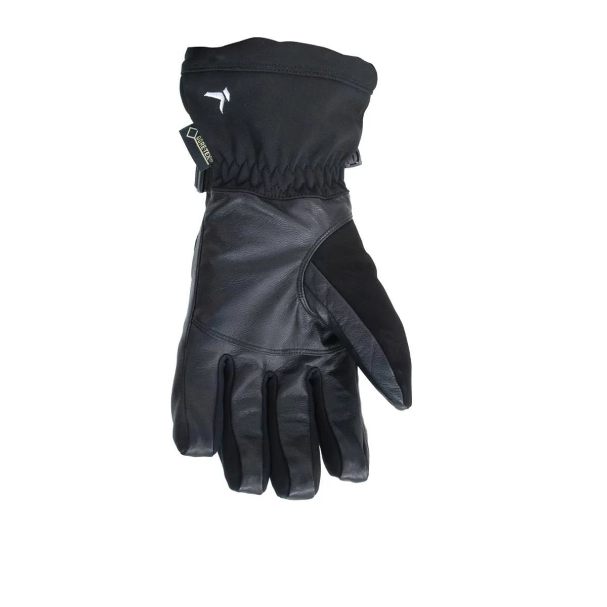 Men's Gore-tex Ski Gloves U6973