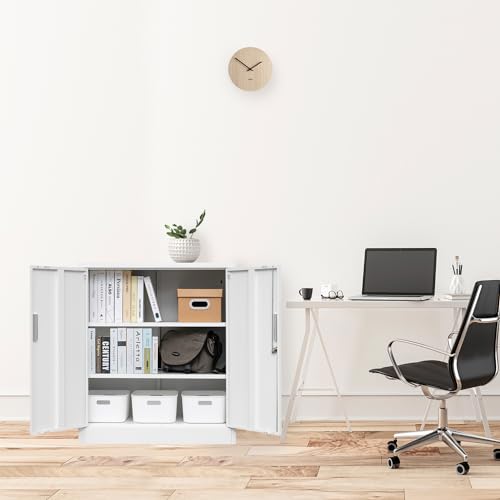 Locking Metal Storage Cabinet with Shelves and Doors L888