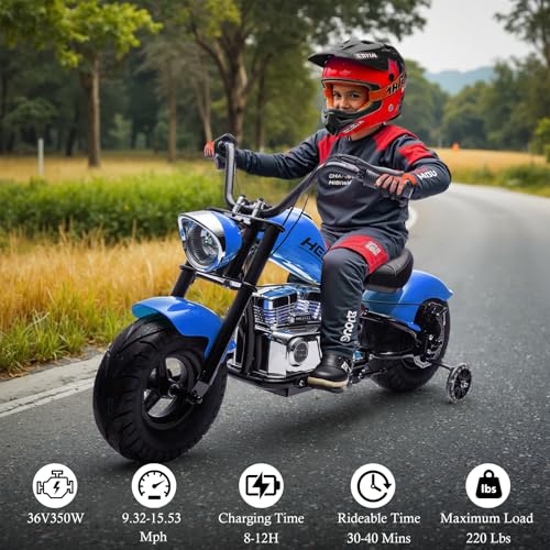 Electric Dirt Bike for Kids 14+, 360W Motor, 15.5 MPH, Gray D8115