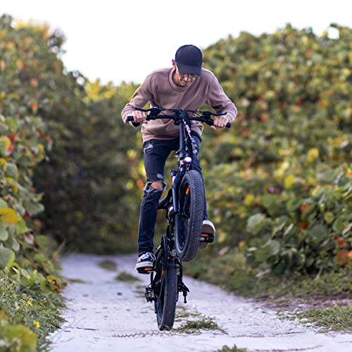 Folding Electric Bike for Adults, 1200W Peak Motor, 28MPH Max Speed, 48V 10AH Removable Battery, 20" Fat Tire M840673