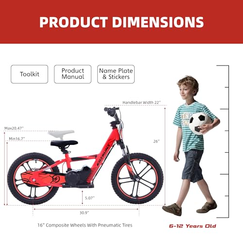 Electric Dirt Bike for Kids Aged 3-6, 170W Motor, 24V Battery, 12IN Tires M30914