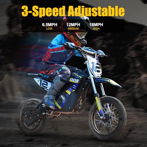 Electric Dirt Bike for Kids, 3 Speed Modes, 18 MPH, 15 Miles Range, Dual Suspension, Disc Brake, 16" Tire, Orange H40536