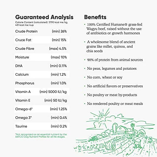 Grass-Fed Beef & Ancient Grains Dry Dog Food, 4 lbs M21507
