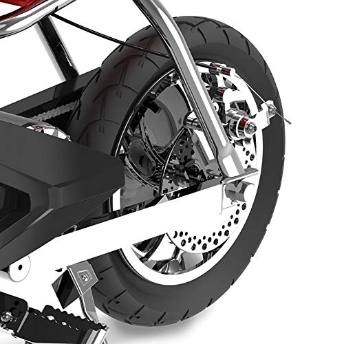 Single Speed Electric Bike with Pneumatic Tires F2240