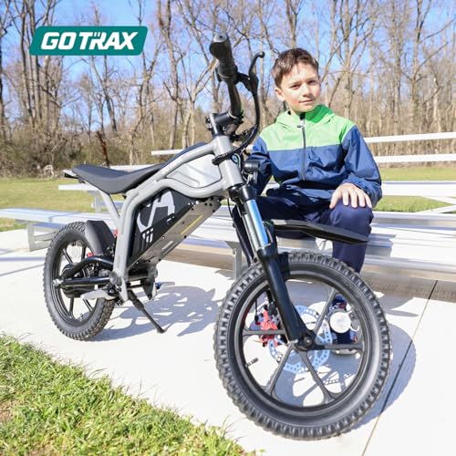 Electric Dirt Bike, 16" Pneumatic Tires, 15.5 Mph, 300W Brushless Motor M810