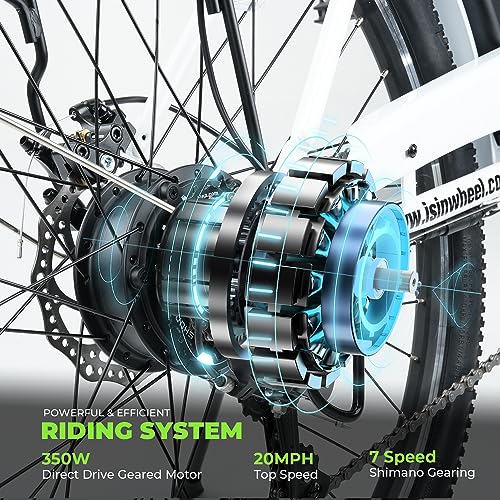 Electric Bike for Adults 750W 28mph with Removable Battery and Fat Tire N46855
