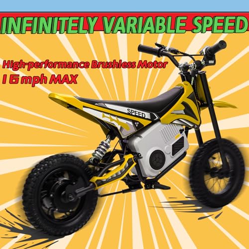 Electric Dirt Bike for Kids 8-14, 16MPH Off-Road Motorcycle with Twist Grip Throttle B563