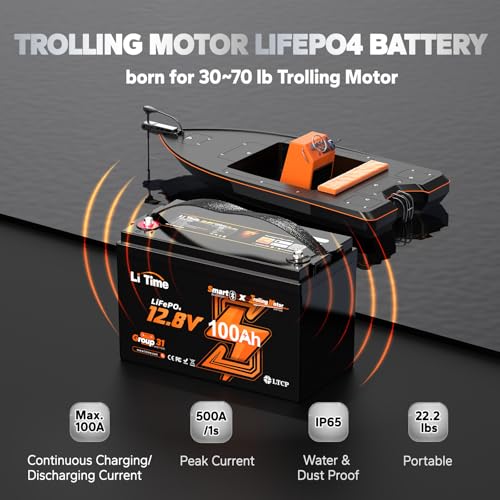 12V 100Ah LiFePO4 Battery Group 31 with Built-in 100A BMS N133