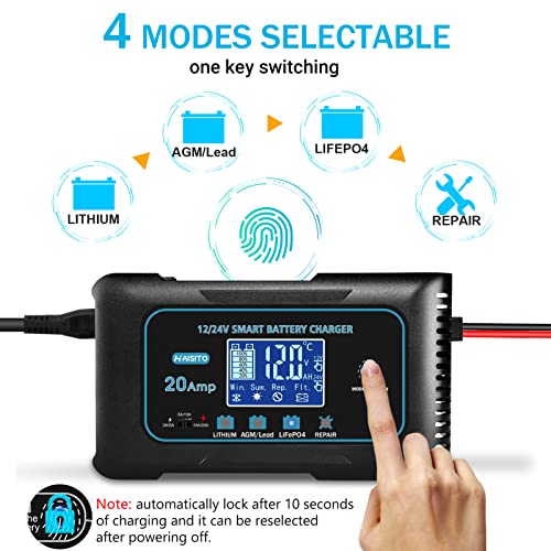 20 Amp Lithium Battery Charger, 12V and 24V Lifepo4, Lead-Acid Portable Car Battery Charger R763