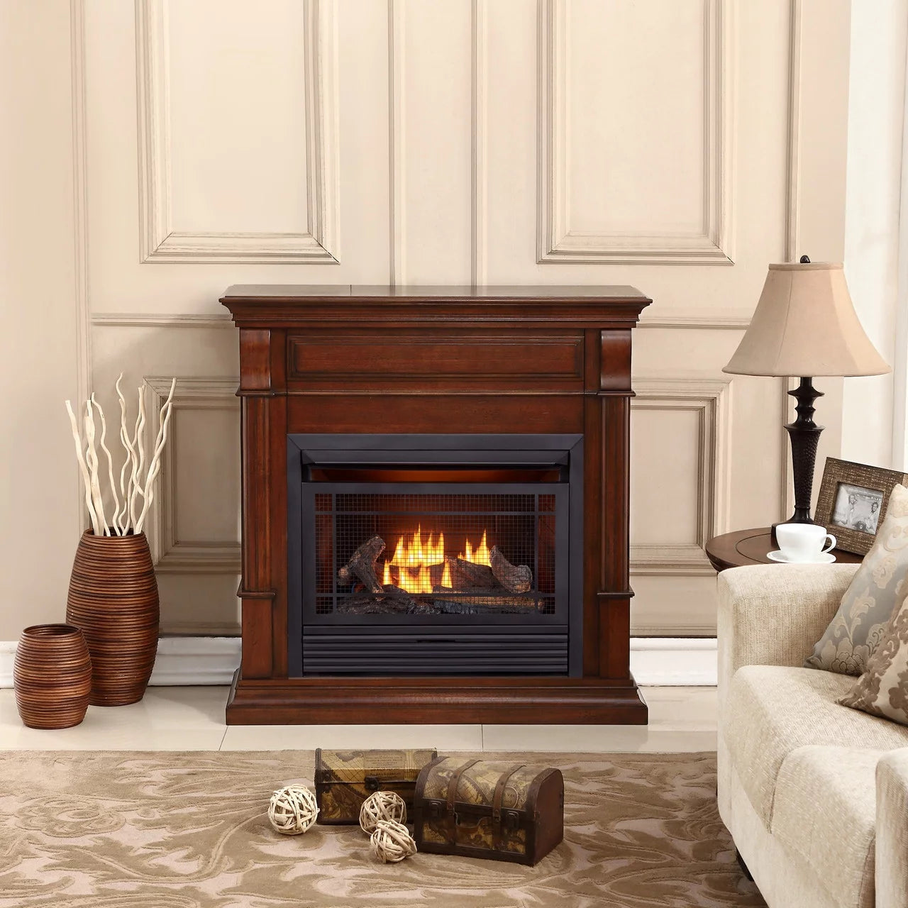 Dual Fuel Ventless Gas Fireplace with Remote Control C248