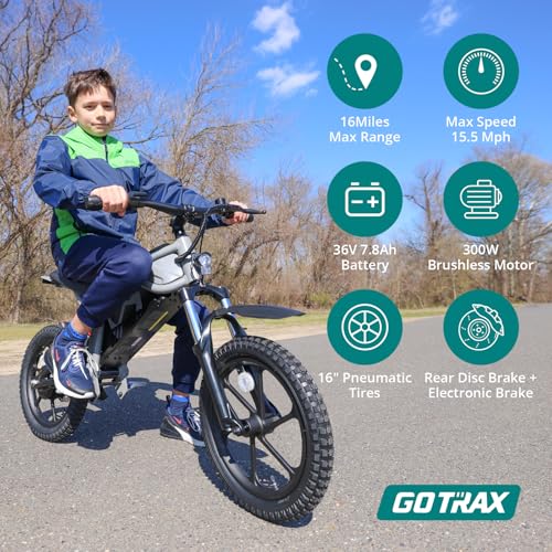 Electric Dirt Bike, 16" Pneumatic Tires, 15.5 Mph, 300W Brushless Motor M810