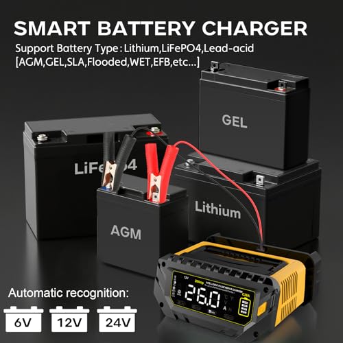 12V 24V 10-Stage Smart Battery Charger and Maintainer B154