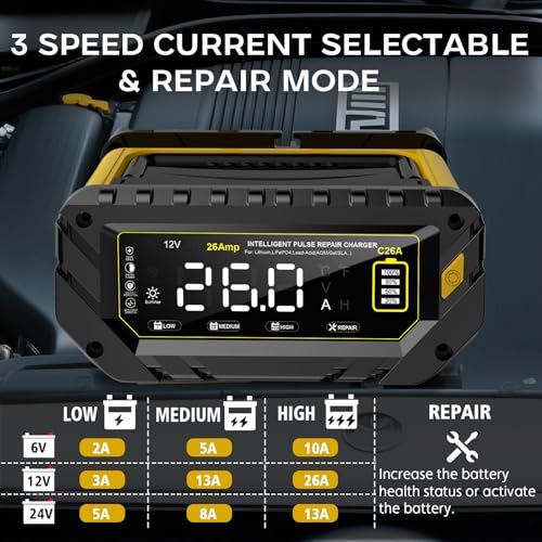 12V 24V 10-Stage Smart Battery Charger and Maintainer B154