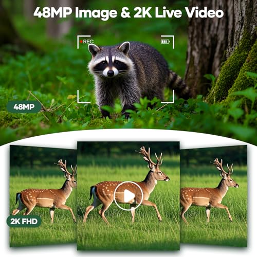 Solar Trail Camera 48MP 30FPS, WiFi Bluetooth Game Camera with Night Vision, IP66 Waterproof B4379