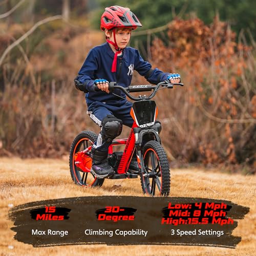 Electric Dirt Bike for Kids Aged 3-6, 170W Motor, 24V Battery, 12IN Tires M30914