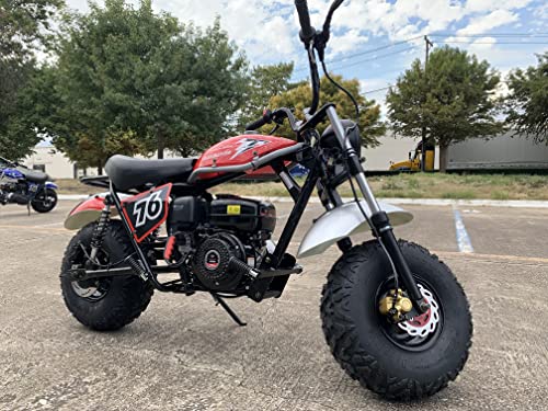 Mini Bike 196cc with Front and Rear Brakes N7188