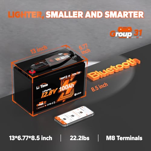 12V 100Ah LiFePO4 Battery Group 31 with Built-in 100A BMS N133