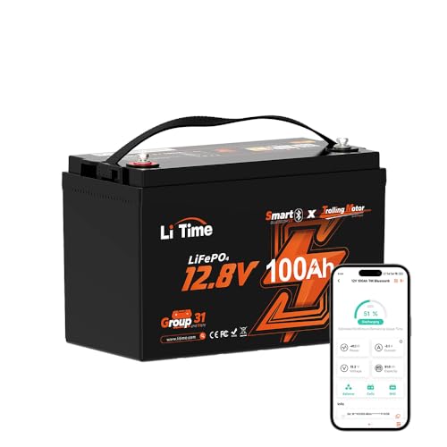 12V 100Ah LiFePO4 Battery Group 31 with Built-in 100A BMS N133