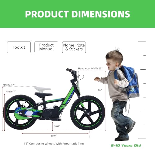 Electric Dirt Bike for Kids Aged 3-6, 170W Motor, 24V Battery, 12IN Tires M30914
