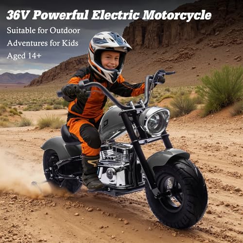 Electric Dirt Bike for Kids 14+, 360W Motor, 15.5 MPH, Gray D8115