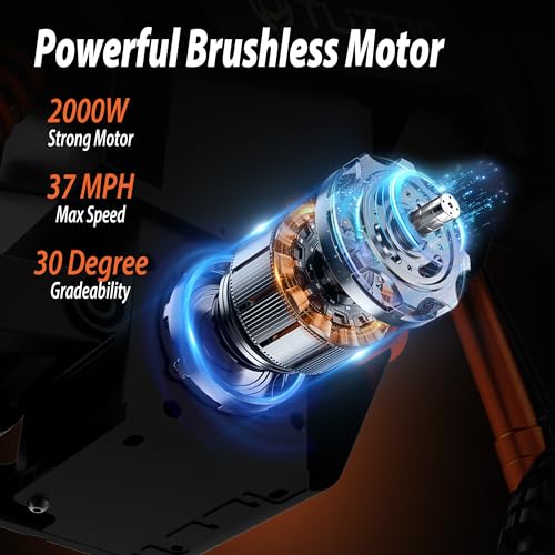 Electric Dirt Bike 48V 21AH Removable Battery Hydraulic Brakes R6234