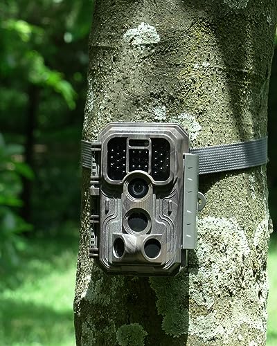 Trail Camera with Night Vision, Motion Activated, Waterproof W80844