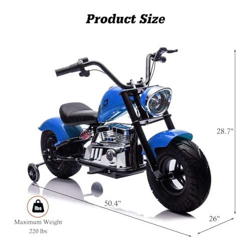 Electric Dirt Bike for Kids 14+, 360W Motor, 15.5 MPH, Gray D8115