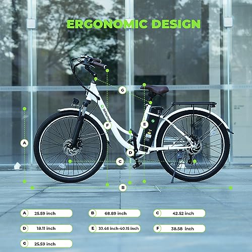 Electric Bike for Adults 750W 28mph with Removable Battery and Fat Tire N46855