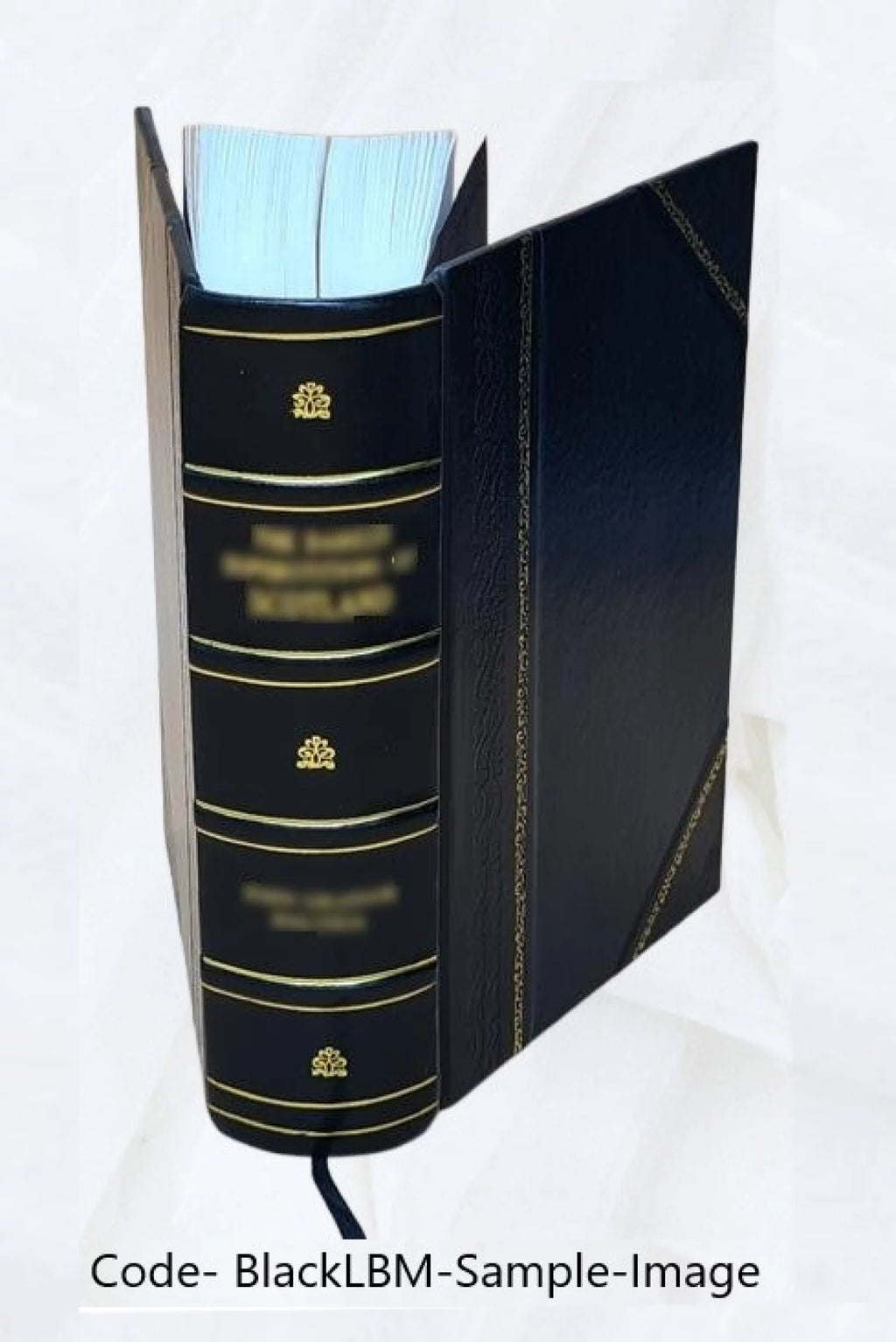 Diccionario Francés-Español y Español-Francés, edición 1870 U73531