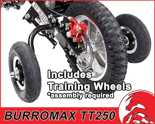 Electric Dirt Bike for Kids, 250W 24V, 14 Mph, Off-Road Mini Bike A80721