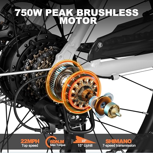 Electric Bike for Adults - 1000W Brushless Motor, Removable Battery, 7-Speed Commuter Z1037
