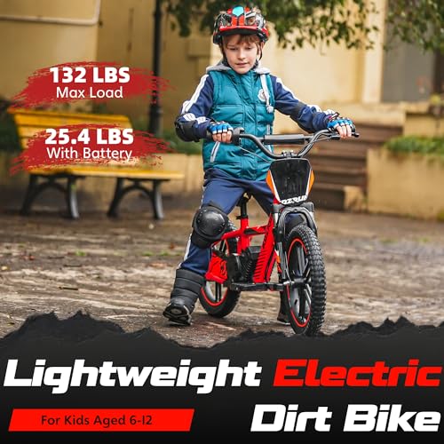Electric Dirt Bike for Kids Aged 3-6, 170W Motor, 24V Battery, 12IN Tires M30914