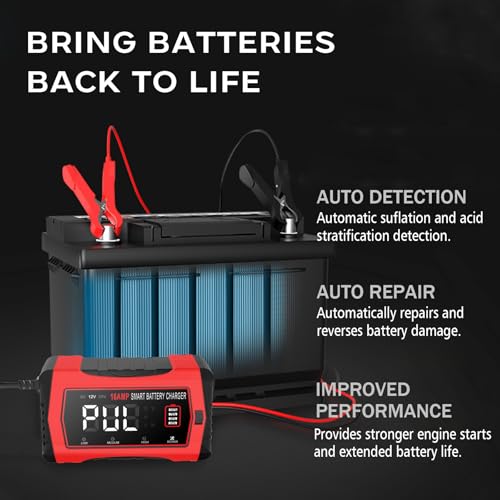 12V 24V 10-Stage Smart Battery Charger and Maintainer B154
