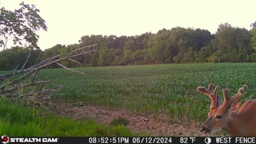 Hunting Cellular Trail Camera 36MP 1080P Video 360-Degree Panoramic View H633