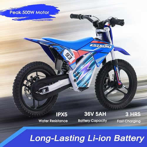 Electric Dirt Bike for Kids Aged 4-8, 350W Brushless Motor, 14'' Off-Road Tires, Blue J66927