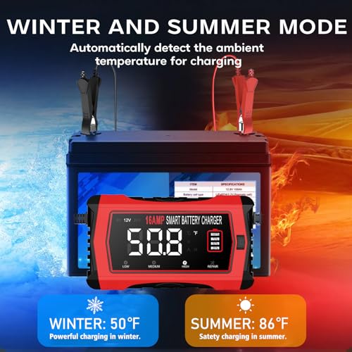 12V 24V 10-Stage Smart Battery Charger and Maintainer B154