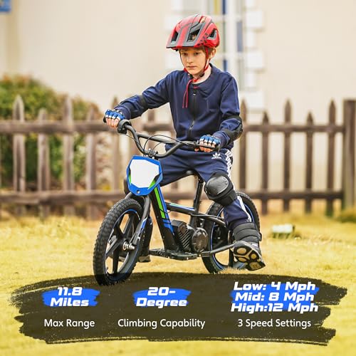 Electric Dirt Bike for Kids Aged 3-6, 170W Motor, 24V Battery, 12IN Tires M30914