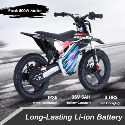Electric Dirt Bike for Kids Aged 4-8, 350W Brushless Motor, 14'' Off-Road Tires, Blue J66927