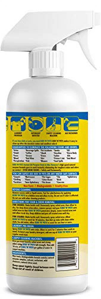 Instant all-purpose stain & odor remover, 27.05 oz Y156