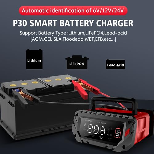20 Amp Lithium Battery Charger, 12V and 24V Lifepo4, Lead-Acid Portable Car Battery Charger R763