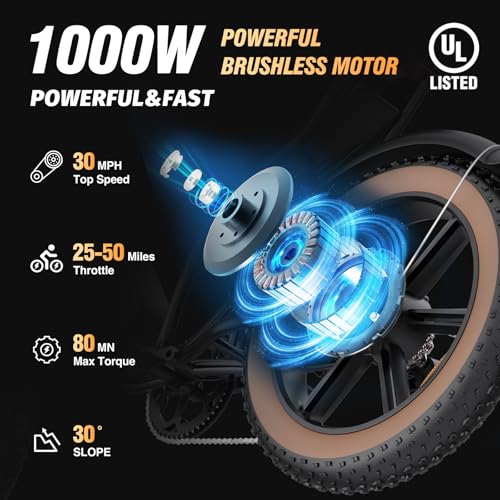 Electric Bike for Adults, 2000W, 52V 40AH, 20" Fat Tire, All Terrain G372